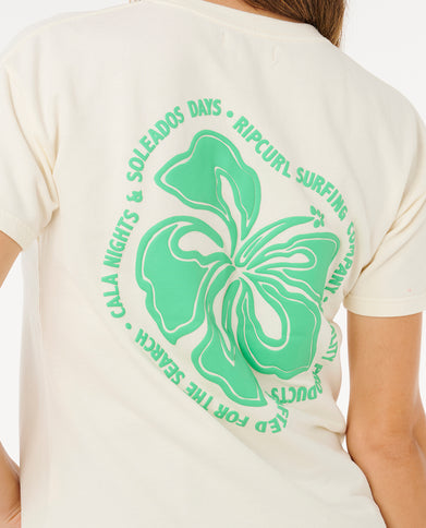 Surf Puff Party Pack Relaxed - Bone