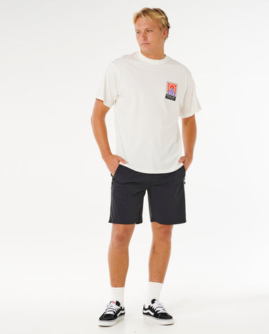 Search Dawn TEE - Bone