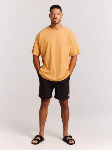 PRTDenwick t-shirt - Golden Yellow  T-Shirt van Protest | SHAKA