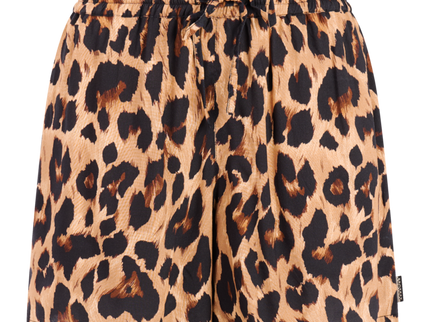 PRTFact shorts - Fudgecamel