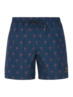 PRTALVIS beachshort - Night Sky navy