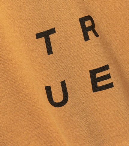 Hoody True Fade Out men - 313 mango