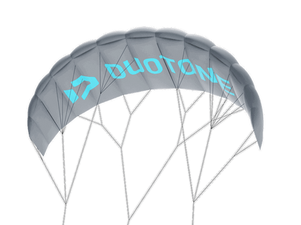 Trainer Kite Lizard C70:Grey  Trainer Kite van Duotone | SHAKA