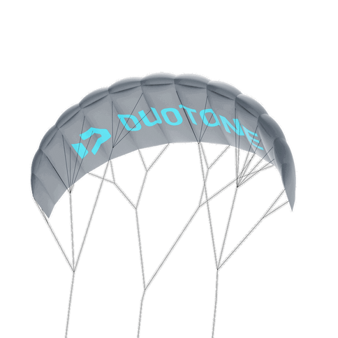 Trainer Kite Lizard C70:Grey  Trainer Kite van Duotone | SHAKA