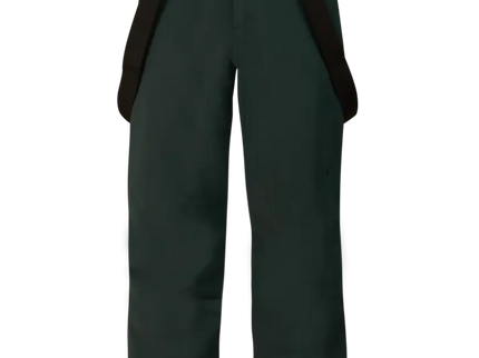 ROWENS snowpants - Kombu green