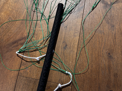 North Ranger Parawing