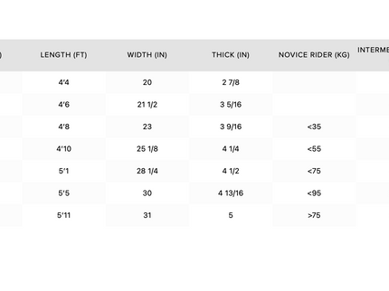Seek Foil Board - 2022