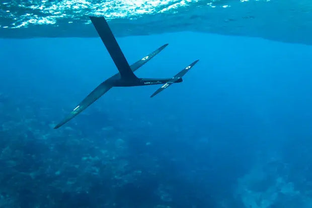 <h2><strong>WINGSETS</strong></h2>