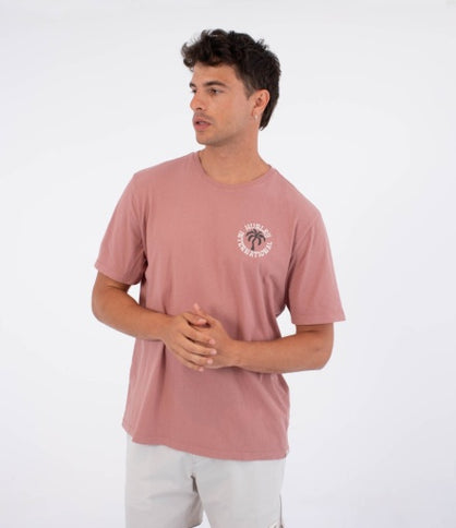 Palm Ss - Phantom Rose