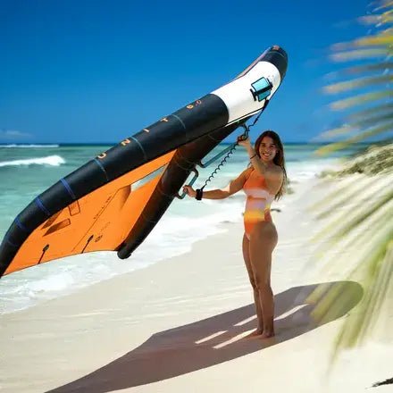 <h2><strong>WINGS</strong></h2>